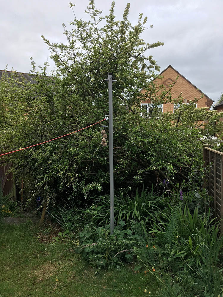 A garden with a overgrown tree in it