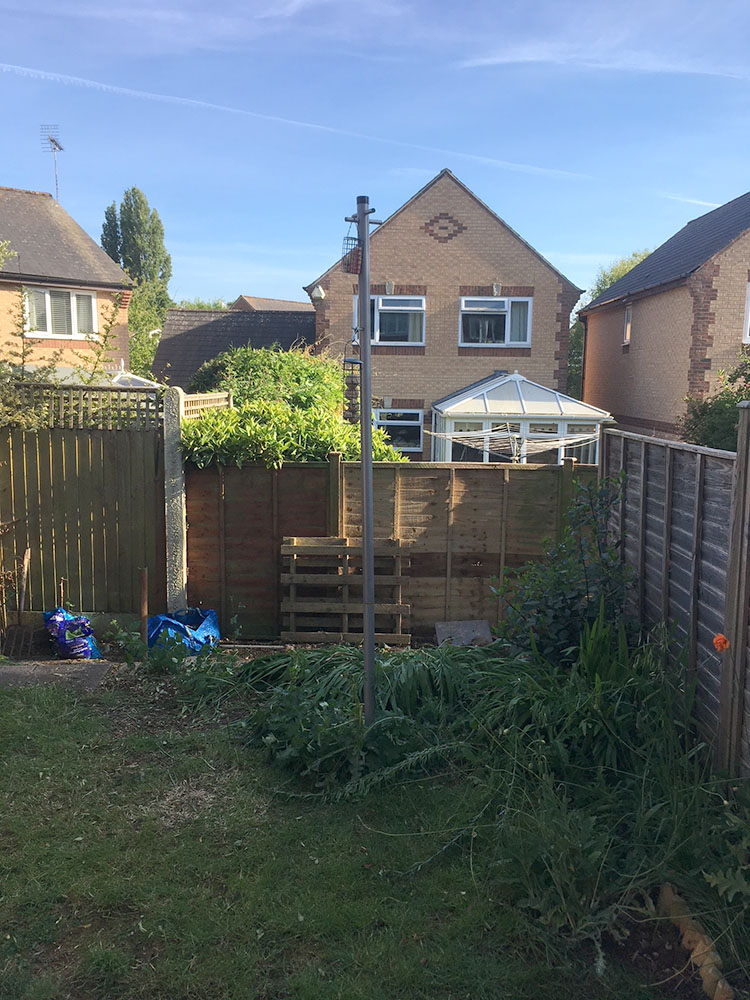 The garden after having the overgrown tree cut down 