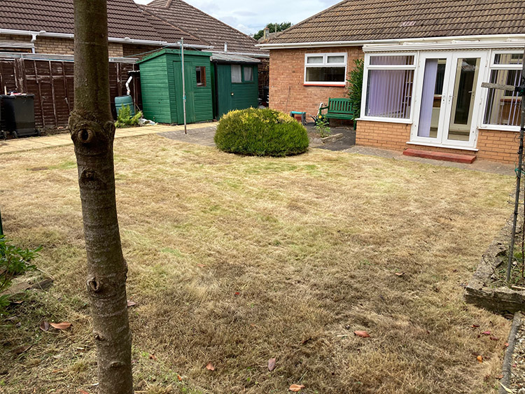 A garden with trimmed grass after